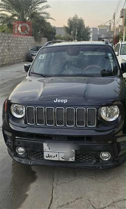 جيب رينيجيد